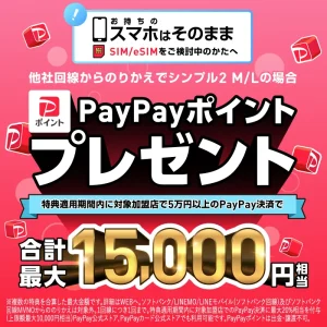 ワイモバイルPayPay15000円相当